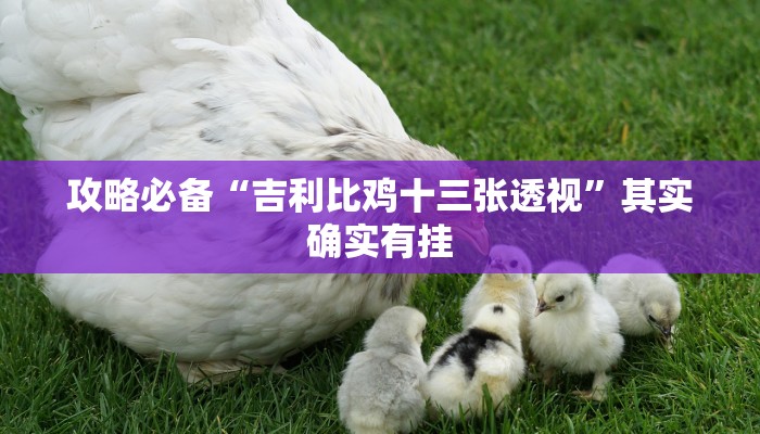 攻略必备“吉利比鸡十三张透视”其实确实有挂
