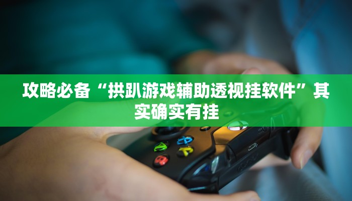 攻略必备“拱趴游戏辅助透视挂软件”其实确实有挂
