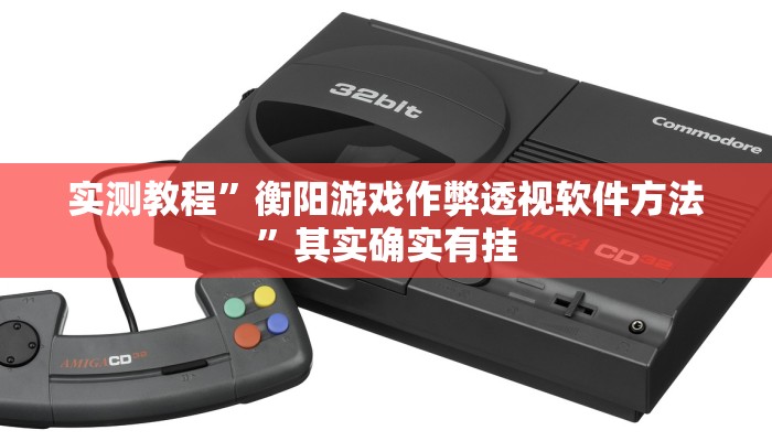 实测教程”衡阳游戏作弊透视软件方法”其实确实有挂
