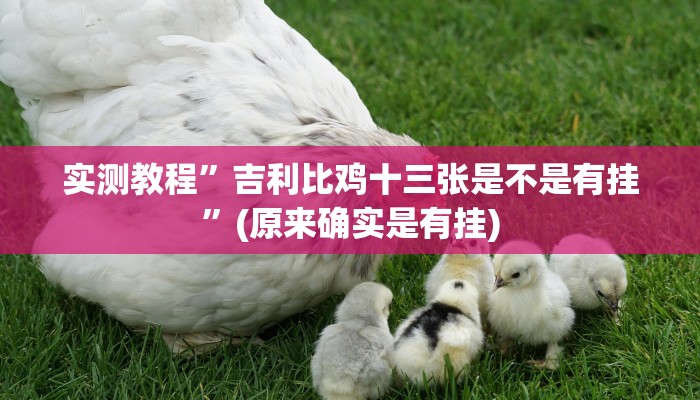 实测教程”吉利比鸡十三张是不是有挂”(原来确实是有挂)