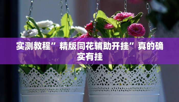实测教程”精版同花辅助开挂”真的确实有挂