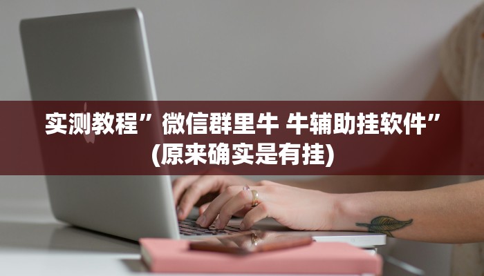 实测教程”微信群里牛 牛辅助挂软件”(原来确实是有挂)