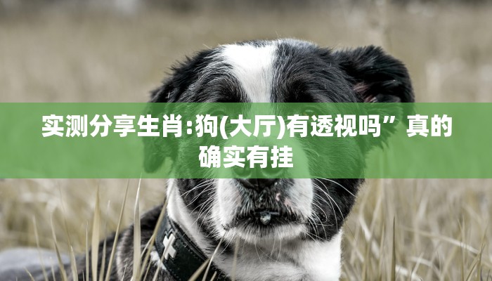 实测分享生肖:狗(大厅)有透视吗”真的确实有挂