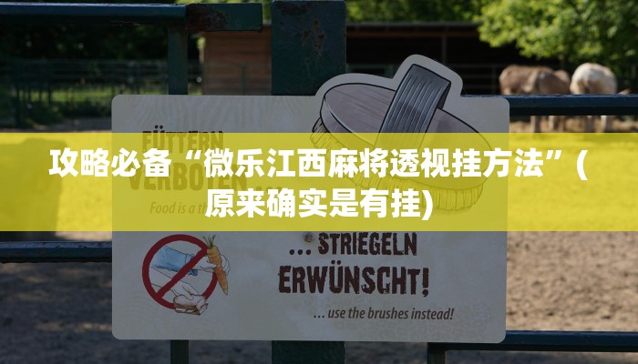 攻略必备“微乐江西麻将透视挂方法”(原来确实是有挂)