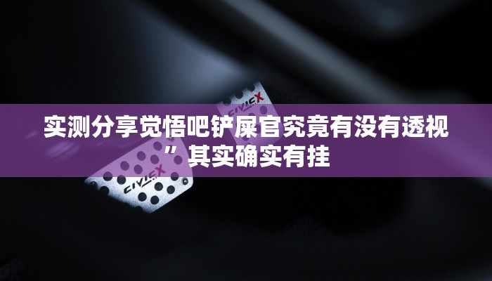 实测分享觉悟吧铲屎官究竟有没有透视”其实确实有挂
