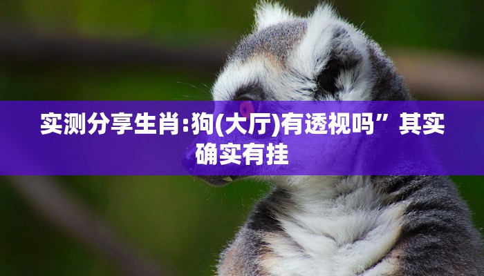 实测教程”新九五斗牛作弊透视软件方法”(原来确实是有挂)