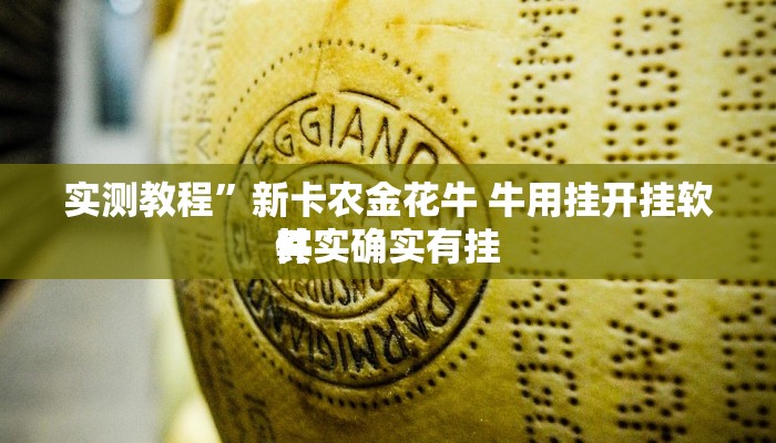 实测教程”新卡农金花牛 牛用挂开挂软件”
其实确实有挂

