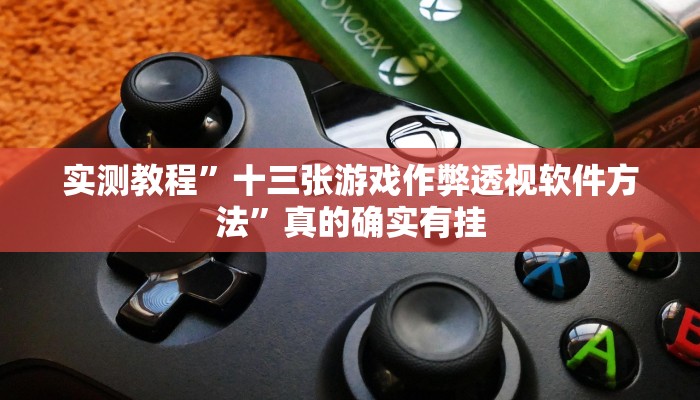 实测教程”十三张游戏作弊透视软件方法”真的确实有挂