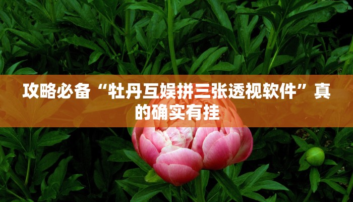 攻略必备“牡丹互娱拼三张透视软件”真的确实有挂