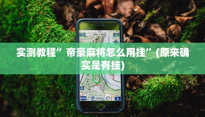 攻略必备“新金龙用挂开挂软件”
(原来确实是有挂)