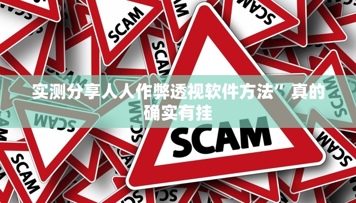 实测教程”人海辅助开挂”(原来确实是有挂)