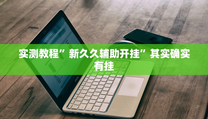 实测教程”新久久辅助开挂”其实确实有挂
