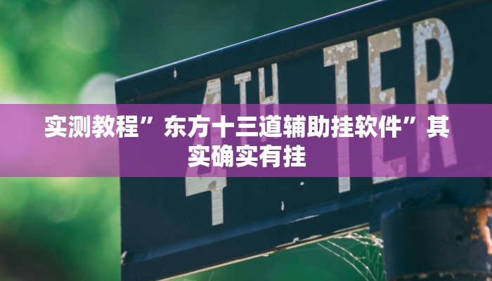 实测教程”东方十三道辅助挂软件”其实确实有挂
