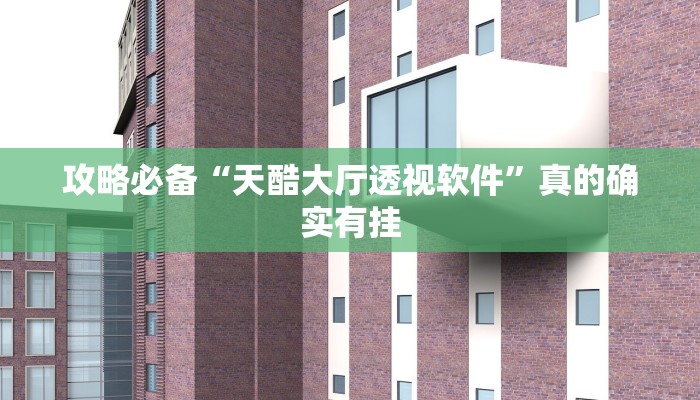 攻略必备“天酷大厅透视软件”真的确实有挂