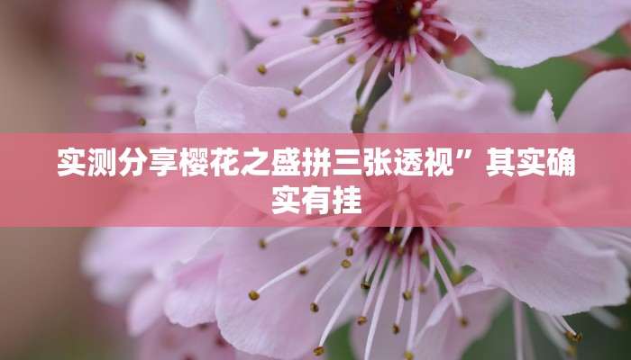 实测分享樱花之盛拼三张透视”其实确实有挂
