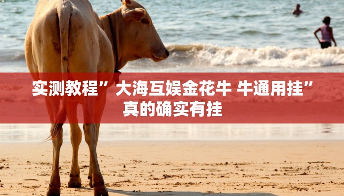 实测教程”大海互娱金花牛 牛通用挂”真的确实有挂