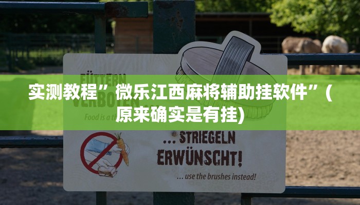 实测教程”微乐江西麻将辅助挂软件”(原来确实是有挂)