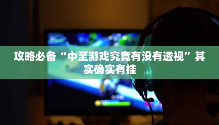 攻略必备“中至游戏究竟有没有透视”其实确实有挂
