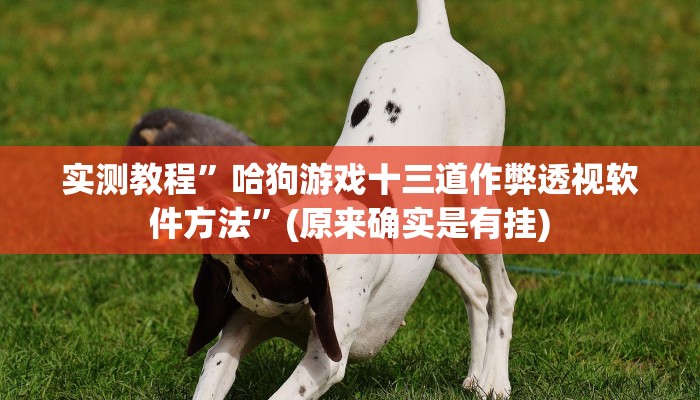 实测教程”哈狗游戏十三道作弊透视软件方法”(原来确实是有挂)