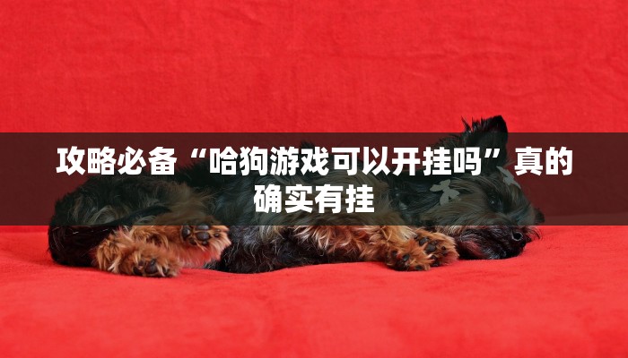 攻略必备“哈狗游戏可以开挂吗”真的确实有挂
