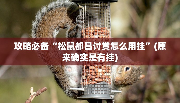 攻略必备“松鼠都昌讨赏怎么用挂”(原来确实是有挂)