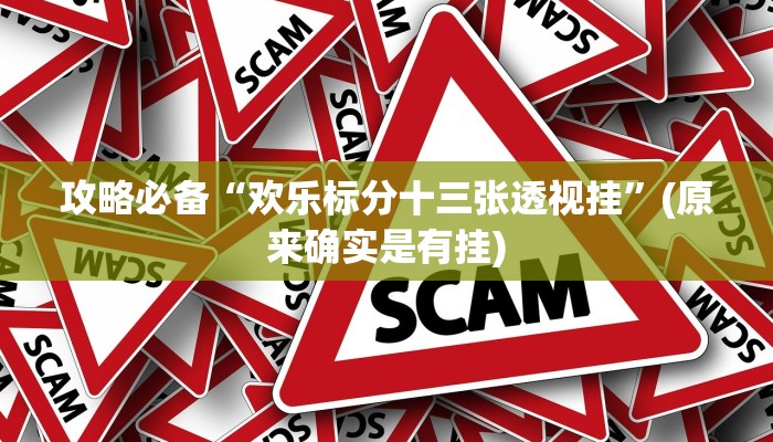 攻略必备“欢乐标分十三张透视挂”(原来确实是有挂)