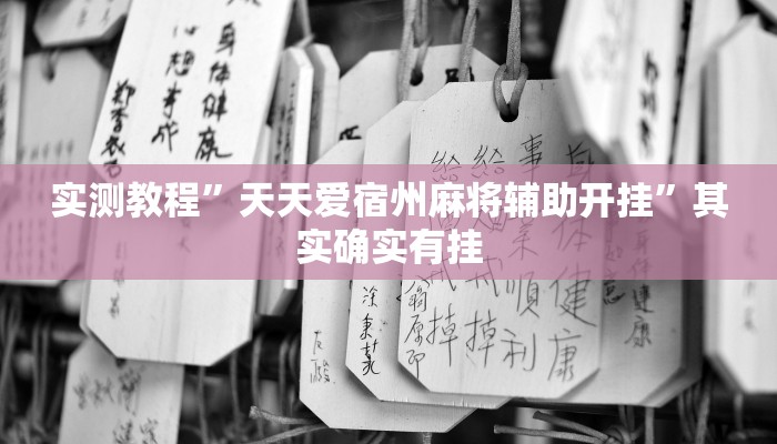 实测教程”天天爱宿州麻将辅助开挂”其实确实有挂
