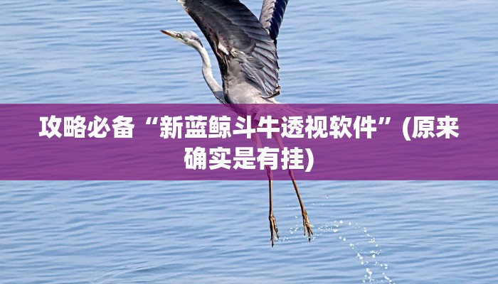 攻略必备“新蓝鲸斗牛透视软件”(原来确实是有挂)