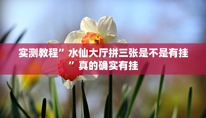 实测教程”水仙大厅拼三张是不是有挂”真的确实有挂