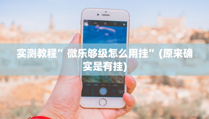 攻略必备“微乐豆子煮怎么用挂”(原来确实是有挂)