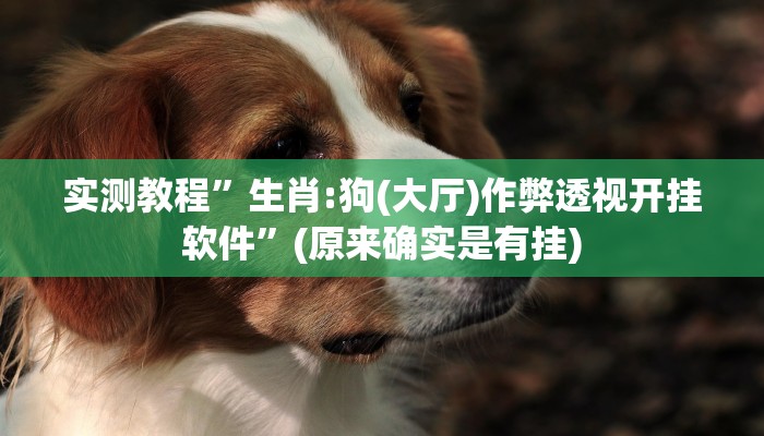 实测教程”生肖:狗(大厅)作弊透视开挂软件”(原来确实是有挂)