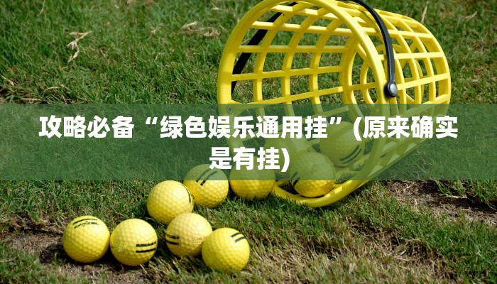 攻略必备“绿色娱乐通用挂”(原来确实是有挂)