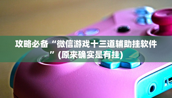 攻略必备“微信游戏十三道辅助挂软件”(原来确实是有挂)