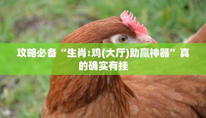 攻略必备“生肖:鸡(大厅)助赢神器”真的确实有挂