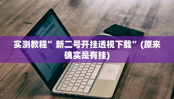 实测教程”新二号开挂透视下载”(原来确实是有挂)
