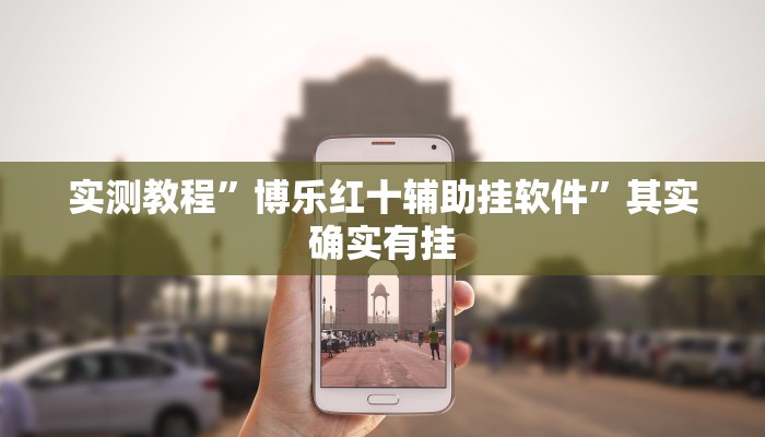 实测教程”博乐红十辅助挂软件”其实确实有挂
