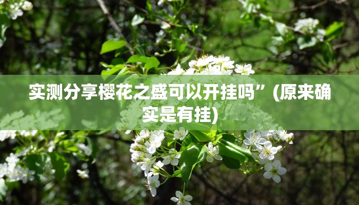 实测分享樱花之盛可以开挂吗”(原来确实是有挂)