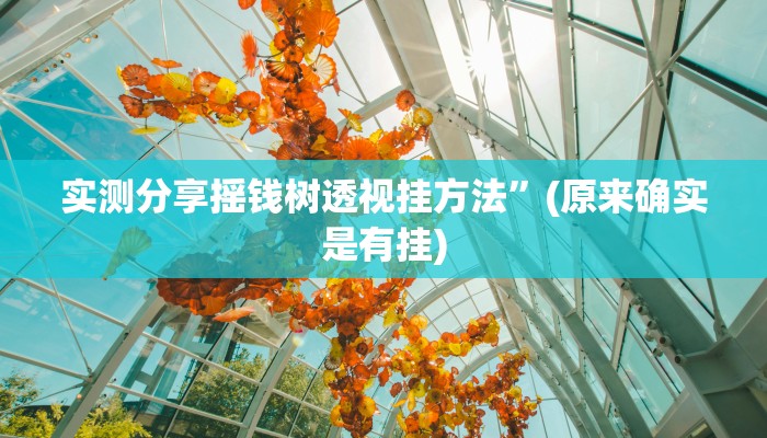 实测分享摇钱树透视挂方法”(原来确实是有挂)