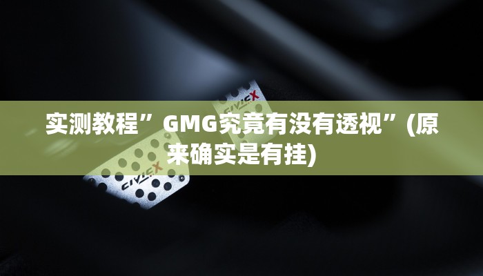 实测教程”GMG究竟有没有透视”(原来确实是有挂)