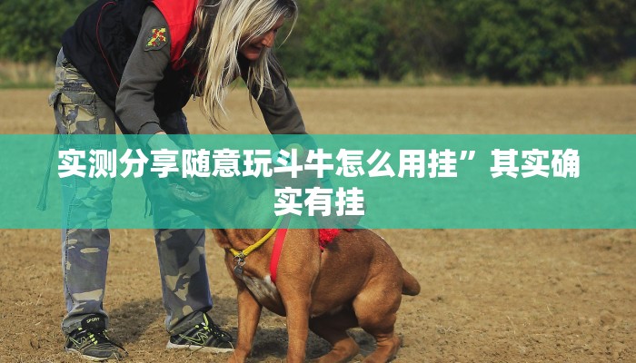 实测分享随意玩斗牛怎么用挂”其实确实有挂
