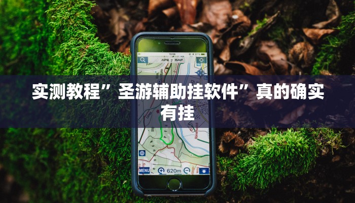 实测教程”圣游辅助挂软件”真的确实有挂
