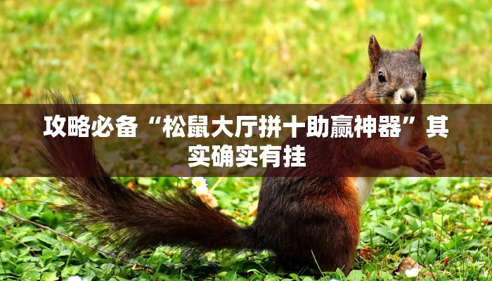 实测分享中至上饶打炸透视”(原来确实是有挂)