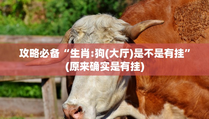 攻略必备“生肖:狗(大厅)是不是有挂”(原来确实是有挂)