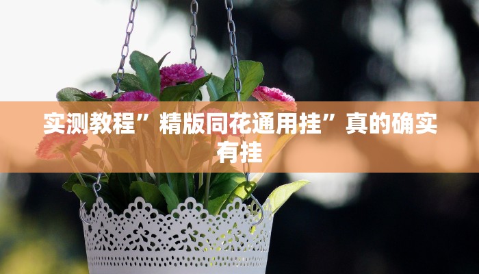 实测教程”精版同花通用挂”真的确实有挂
