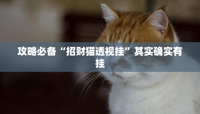 攻略必备“招财猫透视挂”其实确实有挂
