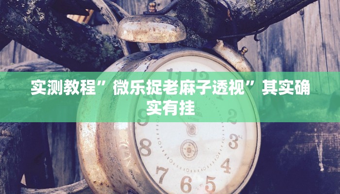 实测教程”微乐捉老麻子透视”其实确实有挂
