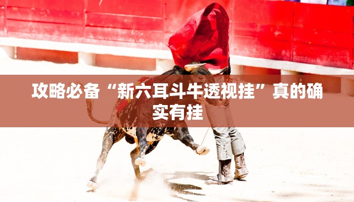 攻略必备“新六耳斗牛透视挂”真的确实有挂