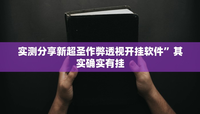 实测分享新超圣作弊透视开挂软件”其实确实有挂
