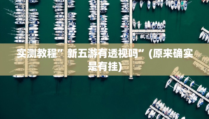 实测教程”新五游有透视吗”(原来确实是有挂)