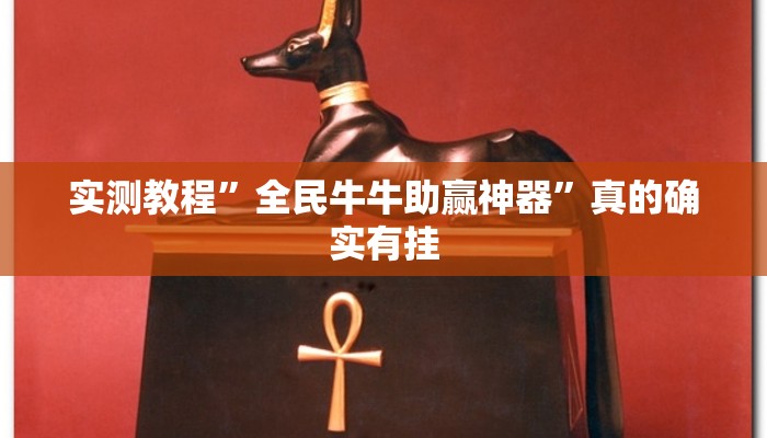 实测教程”全民牛牛助赢神器”真的确实有挂